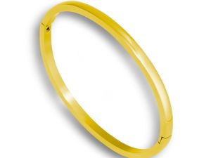 Daily Bangle