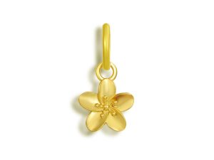 Hibiscus Charm