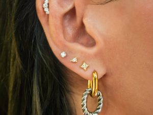 Intermix Earrings