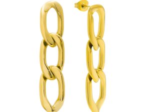 Money Earrings